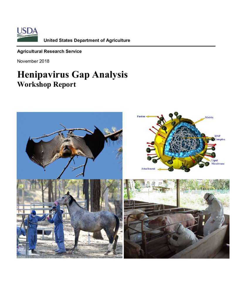 Henipavirus-Gap-Analysis-Report-Updated-November-2018