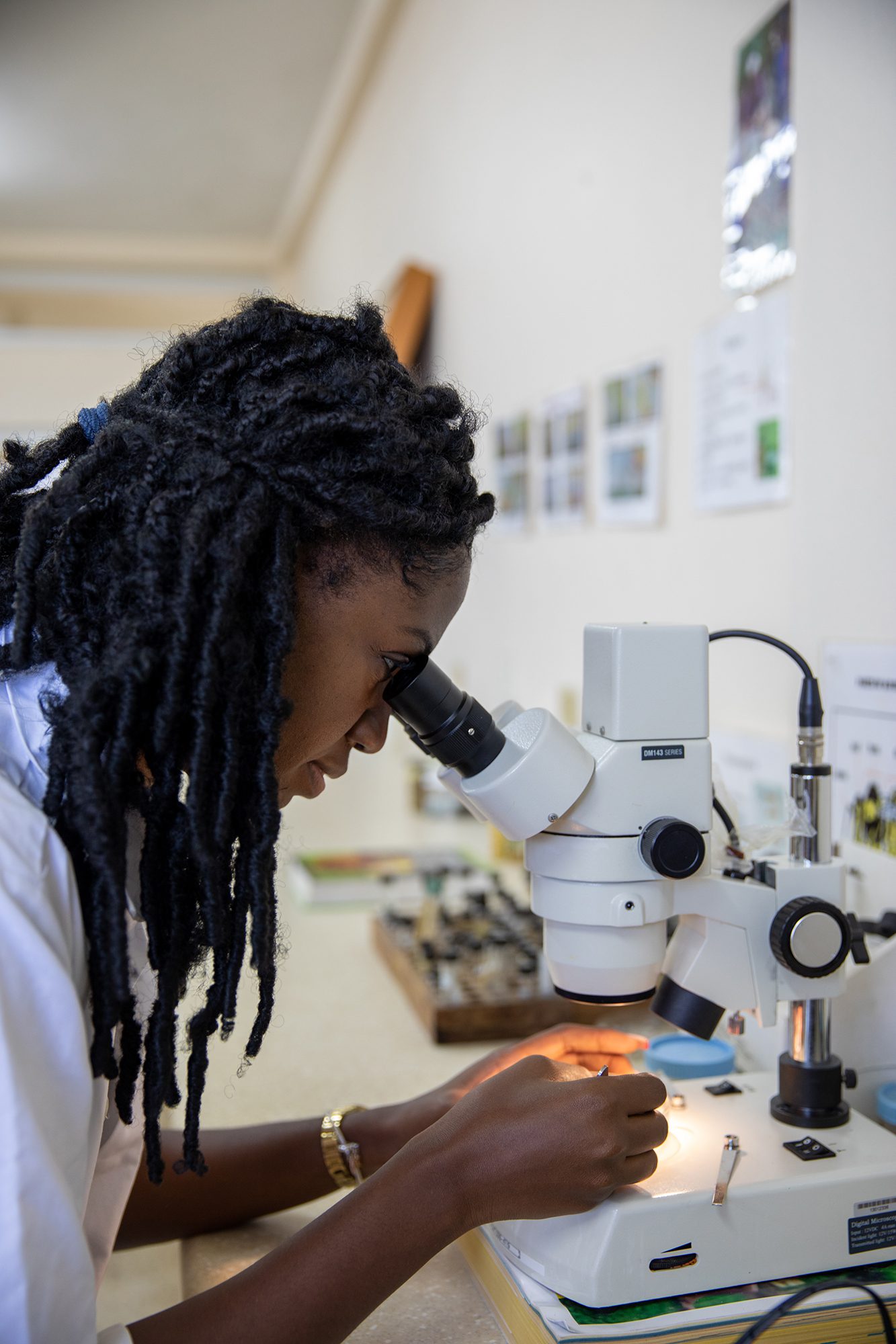 Workers at the RADA Bodles Research Station in Jamaica.